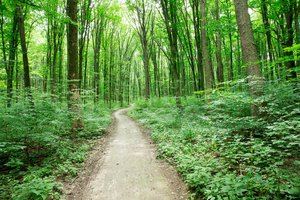 path