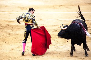 Corrida en la boca en inglés Traductor de español a inglés - inglés