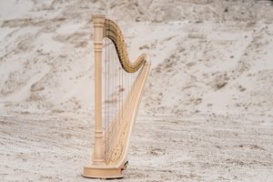 Arpa | Spanish to English Translation - SpanishDictionary.com