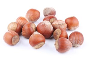 WHAT IS HAZELNUT IN SPANISH intelligence overview