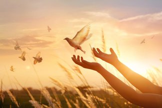 freedom traductor de ingles a espanol spanishdict freedom traductor de ingles a espanol