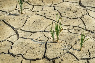 Drought In Spanish English To Spanish Translation Spanishdict