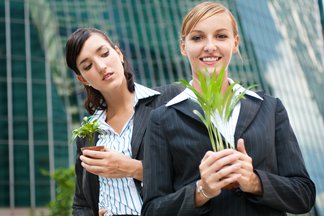 Envidia Spanish To English Translation Spanishdict