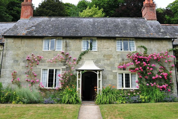 Frente Spanish to English Translation