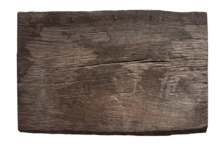 Driftwood in Spanish English to Spanish Translation