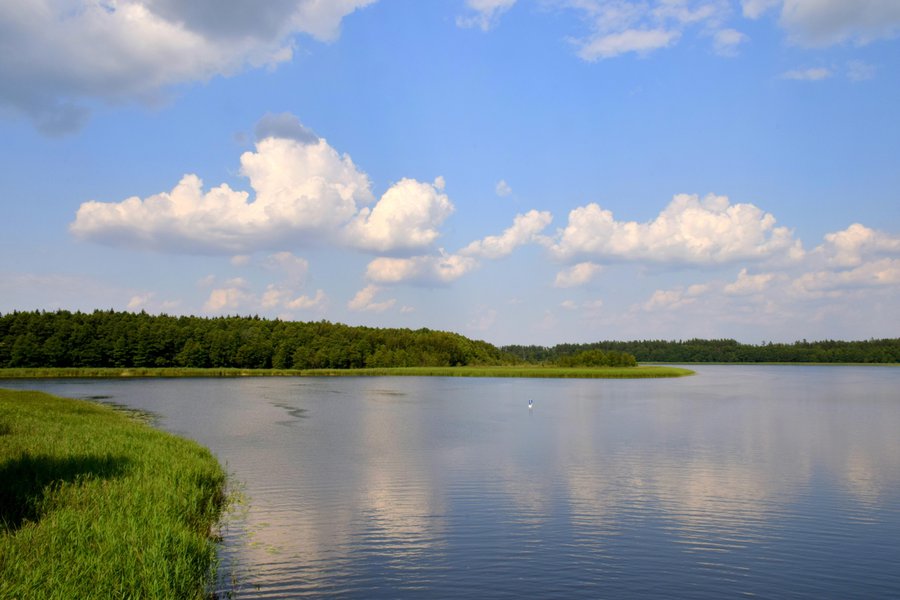 vast-in-spanish-english-to-spanish-translation-spanishdictionary