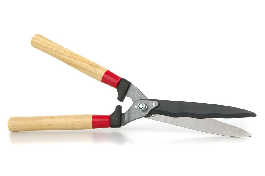 Shears in Spanish English to Spanish Translation