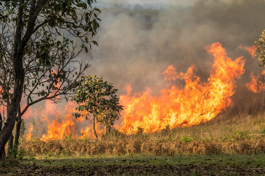 Incendio | Spanish to English Translation - SpanishDict