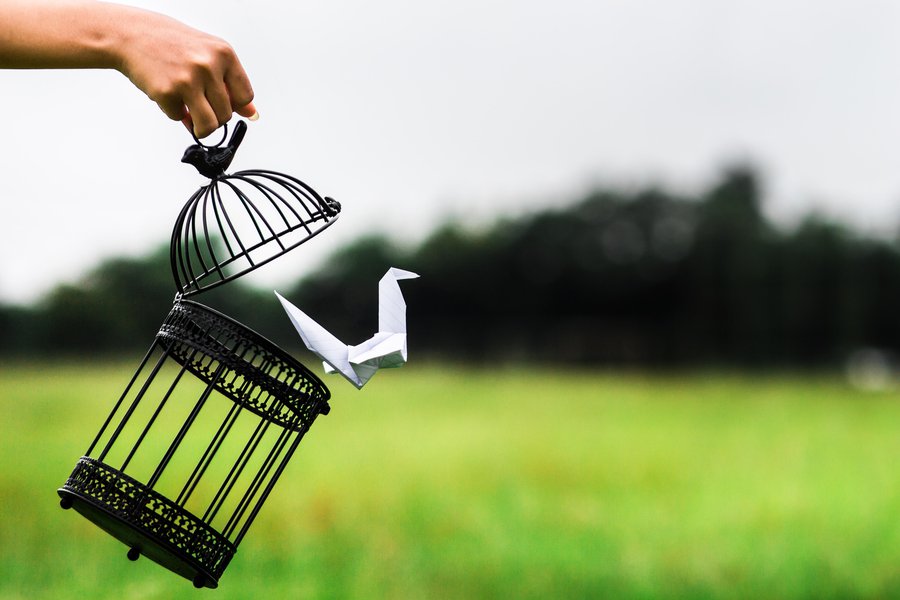 Release in Spanish English to Spanish Translation