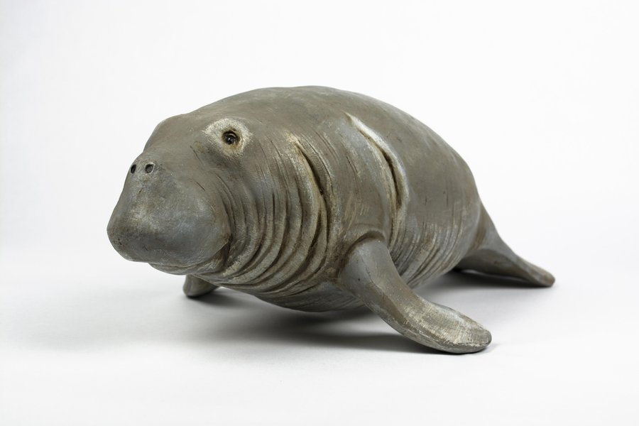 Manatee in Spanish | English to Spanish Translation - SpanishDictionary.com