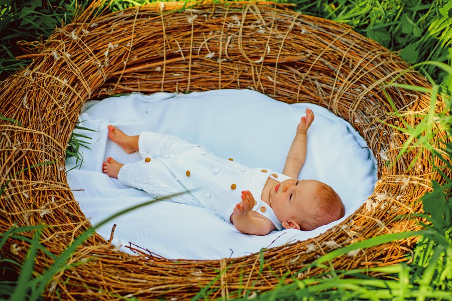 Comfort zone in Spanish English to Spanish Translation