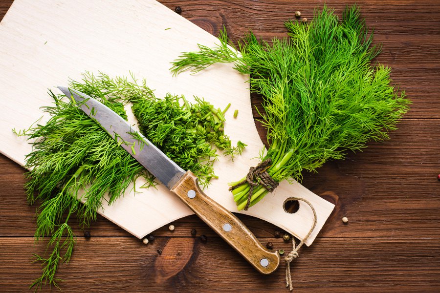 Dill Traductor de inglés a español