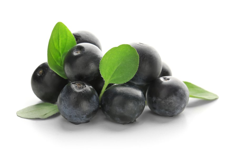 Acai berries in Spanish English to Spanish Translation