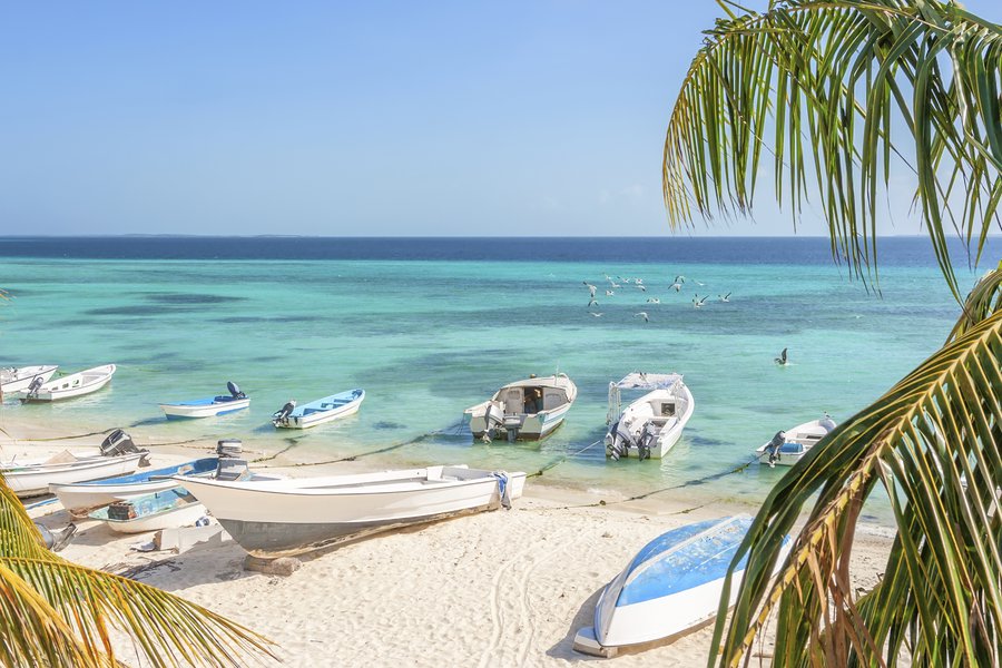 El paraíso Spanish to English Translation