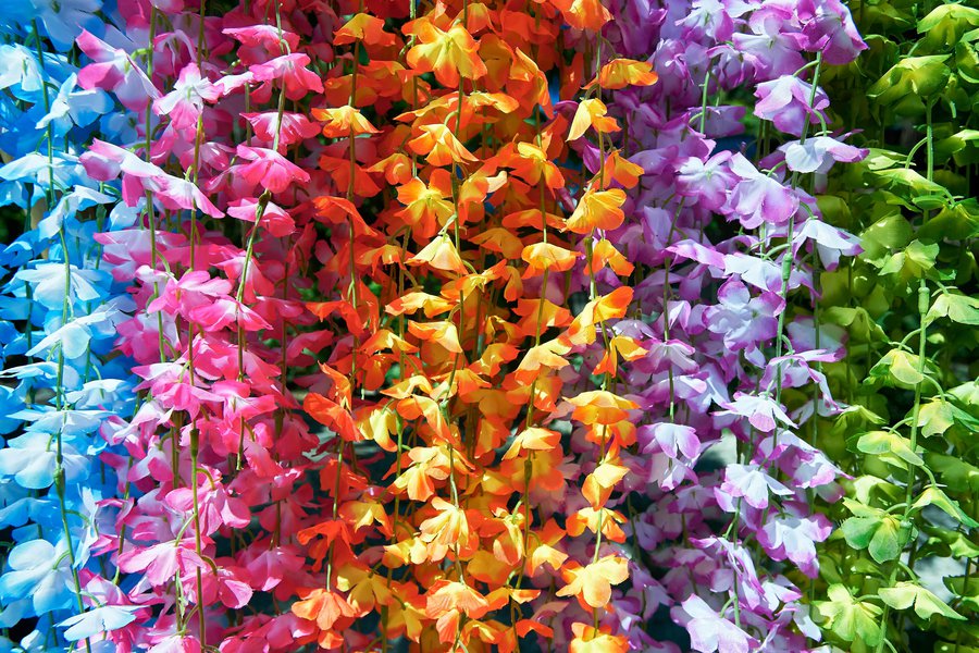 Garland in Spanish English to Spanish Translation