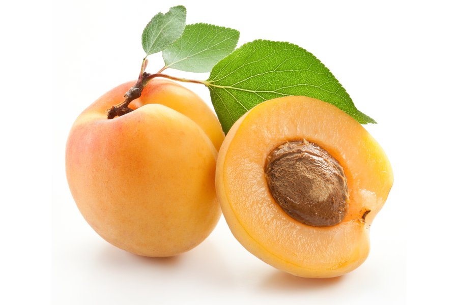 Albaricoques Spanish to English Translation