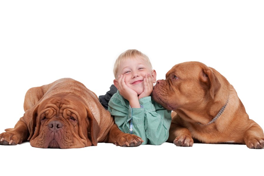 Entre Spanish to English Translation