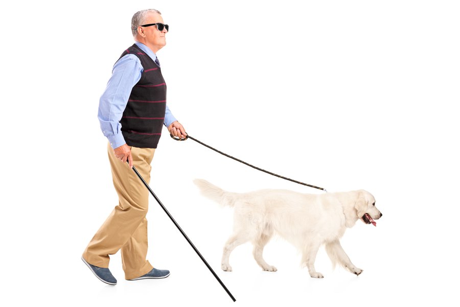 Blinds in Spanish English to Spanish Translation