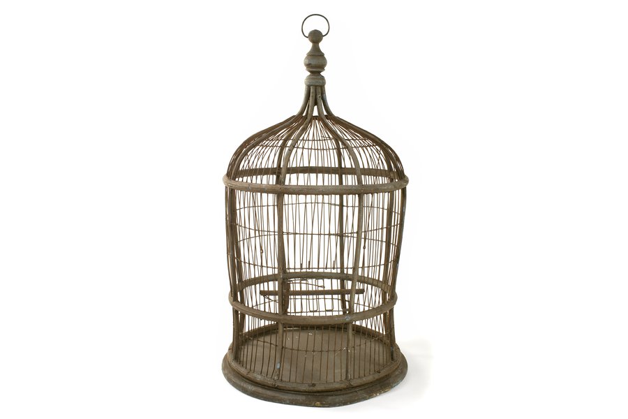 Jaula en inglés Traductor de español a inglés