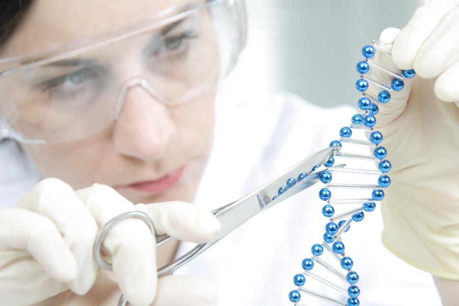 in Spanish English to Spanish Translation