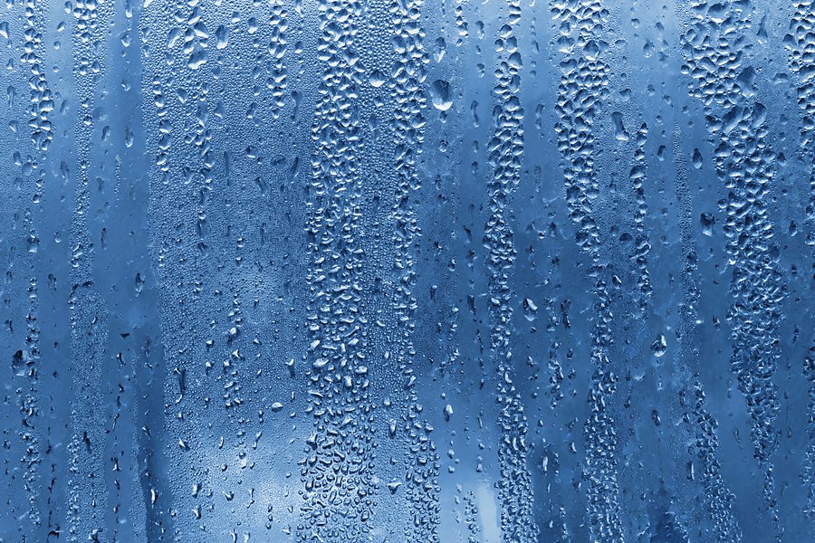 Damp in Spanish English to Spanish Translation