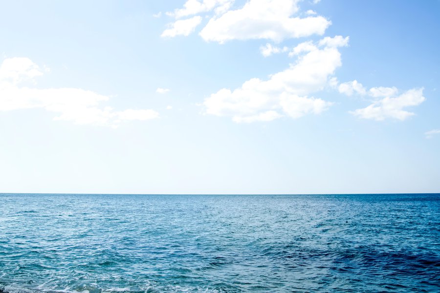 He/she/you will have been in Spanish English to Spanish Translation