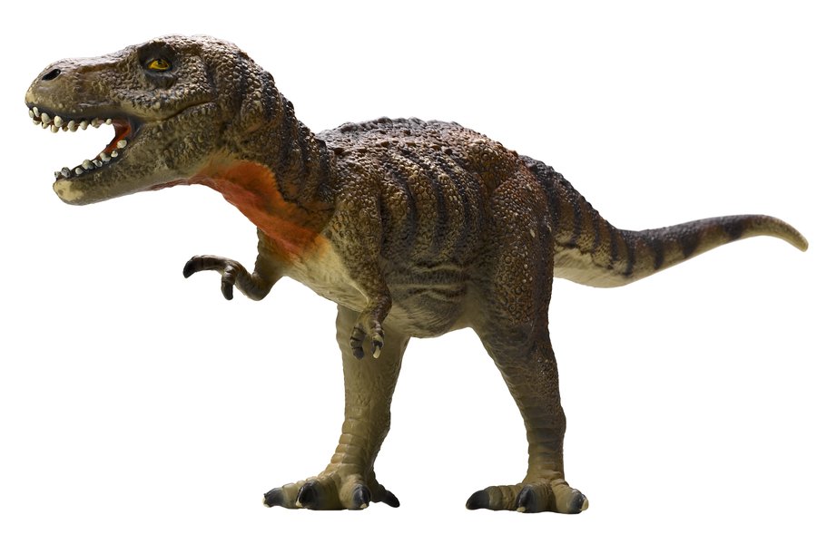 Dinosaurios en inglés Traductor de español a inglés SpanishDict