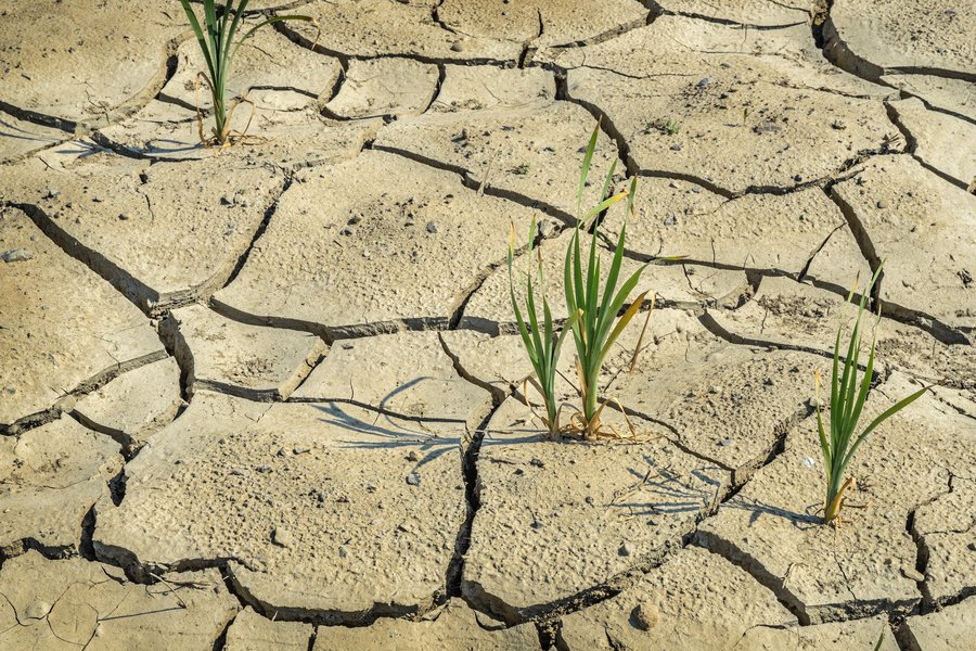 Sequía en inglés Traductor de español a inglés