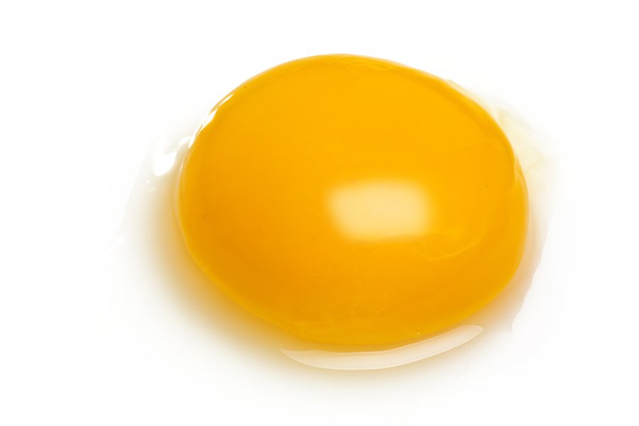 Next egg