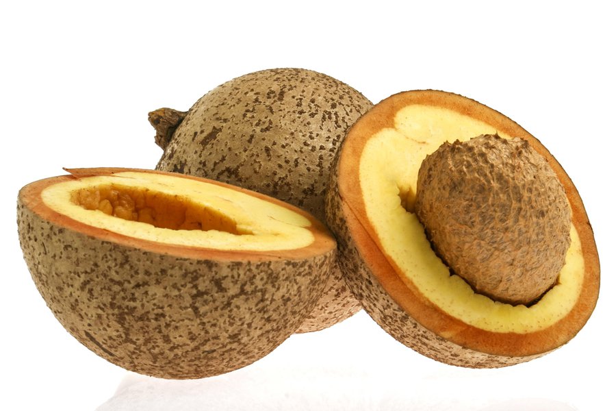 Mamey Spanish to English Translation