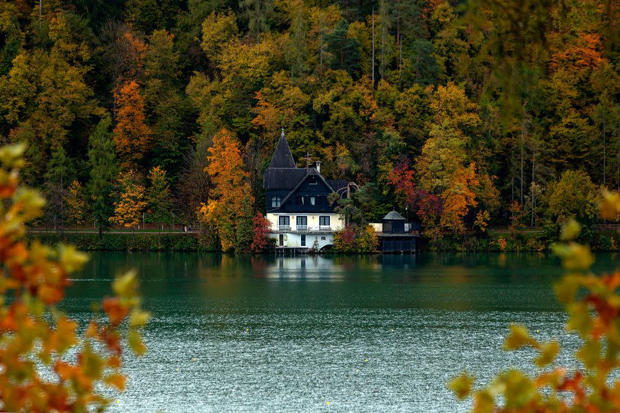 By in Spanish English to Spanish Translation