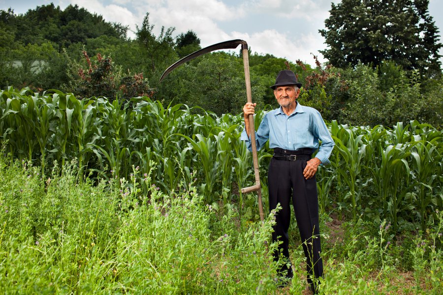 Campesino en inglés Traductor de español a inglés