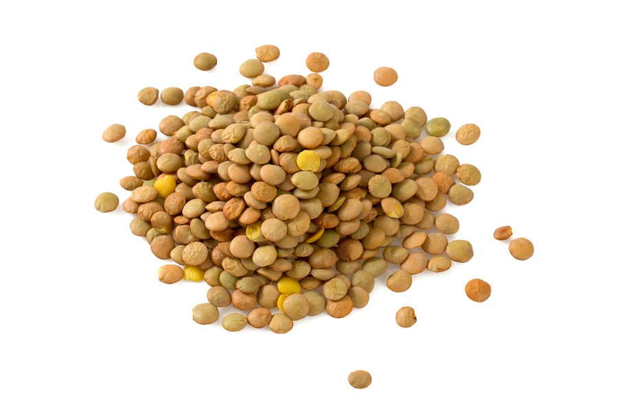 Lentils in Spanish English to Spanish Translation