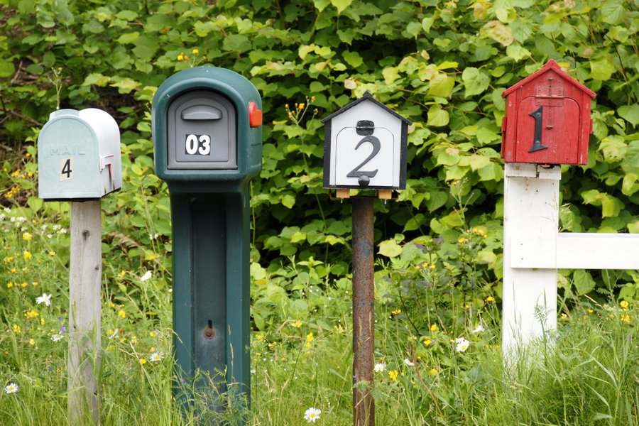 Buzón Spanish to English Translation