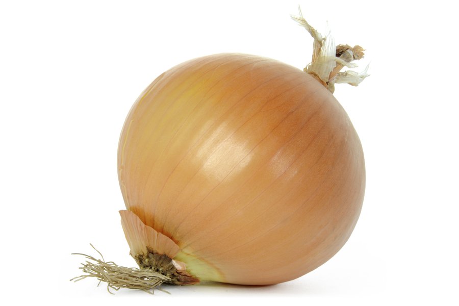 Onion in Spanish English to Spanish Translation