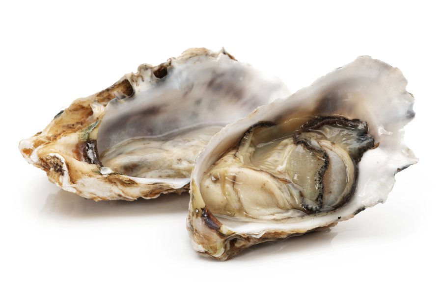 Oysters in Spanish English to Spanish Translation