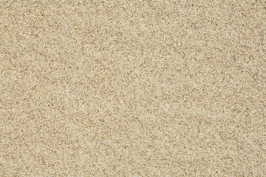 Arena Spanish to English Translation