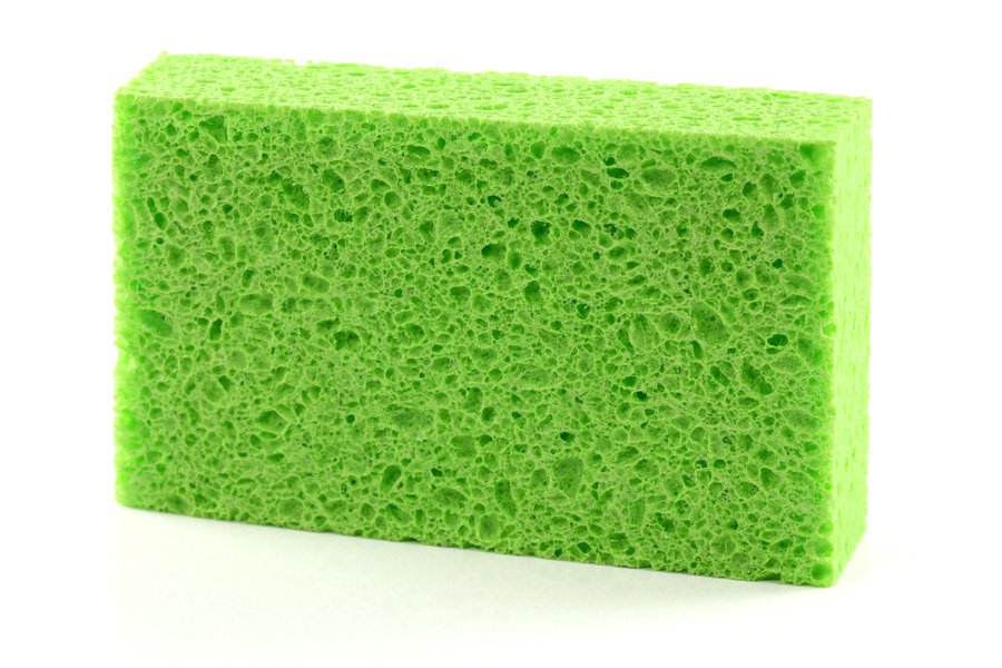 Sponge in Spanish English to Spanish Translation