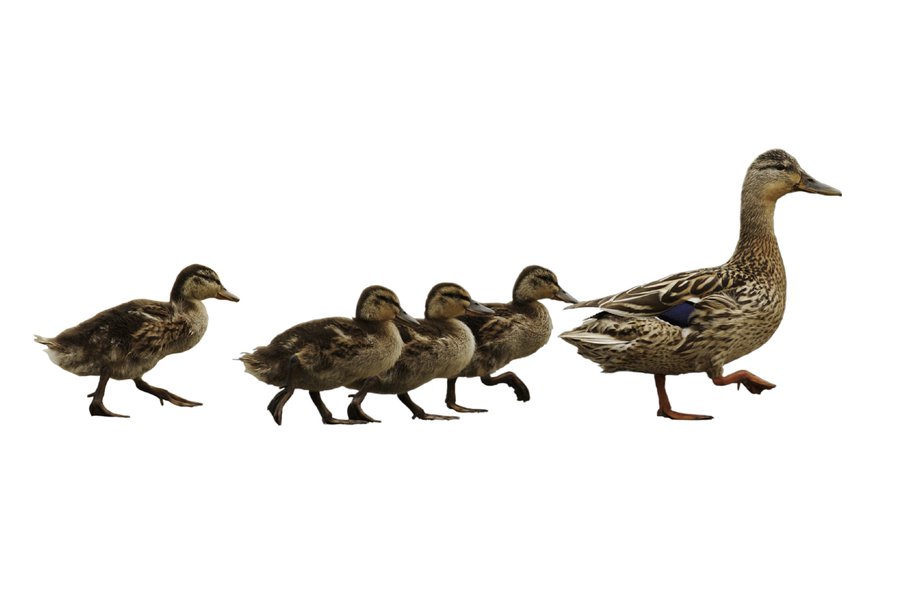 Seguir en inglés Traductor de español a inglés