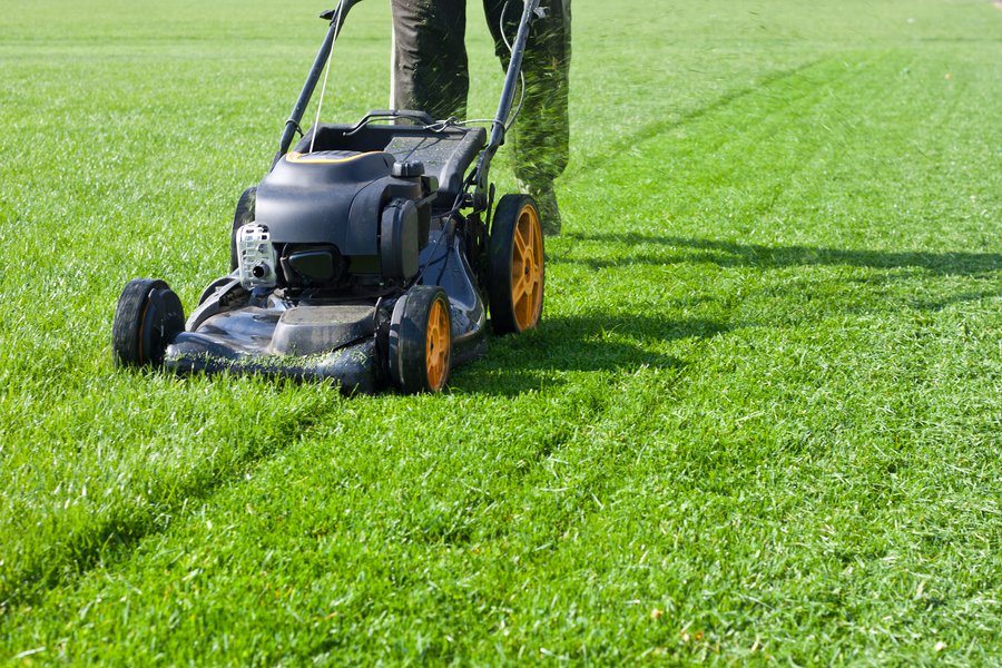 Mow The Lawn In Spanish