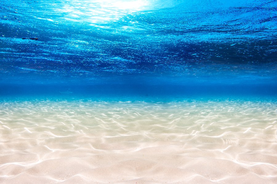 Underwater in Spanish English to Spanish Translation