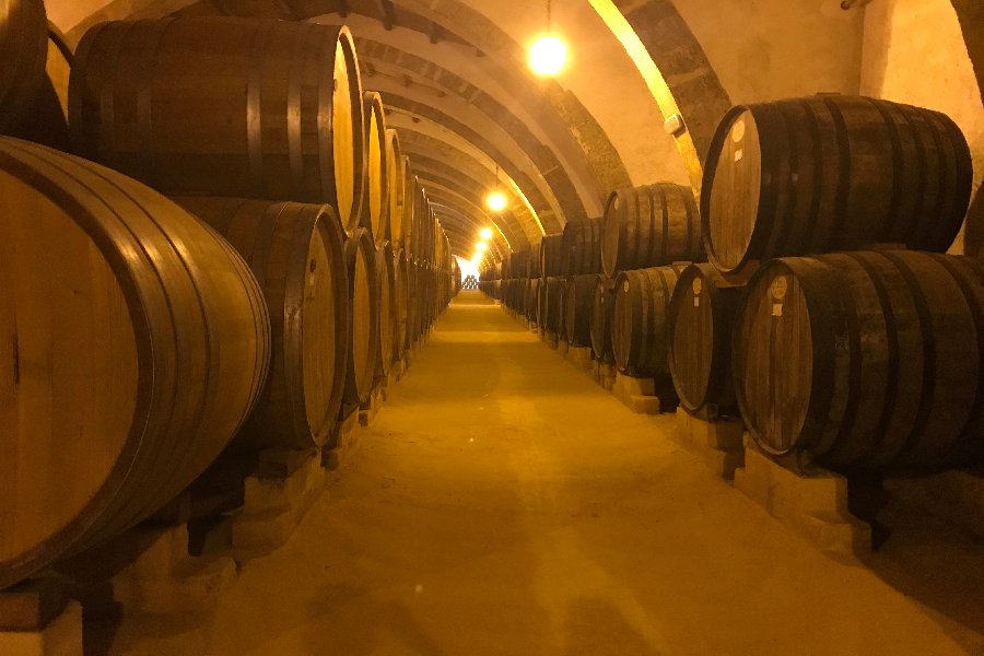 Una bodega Spanish to English Translation SpanishDict