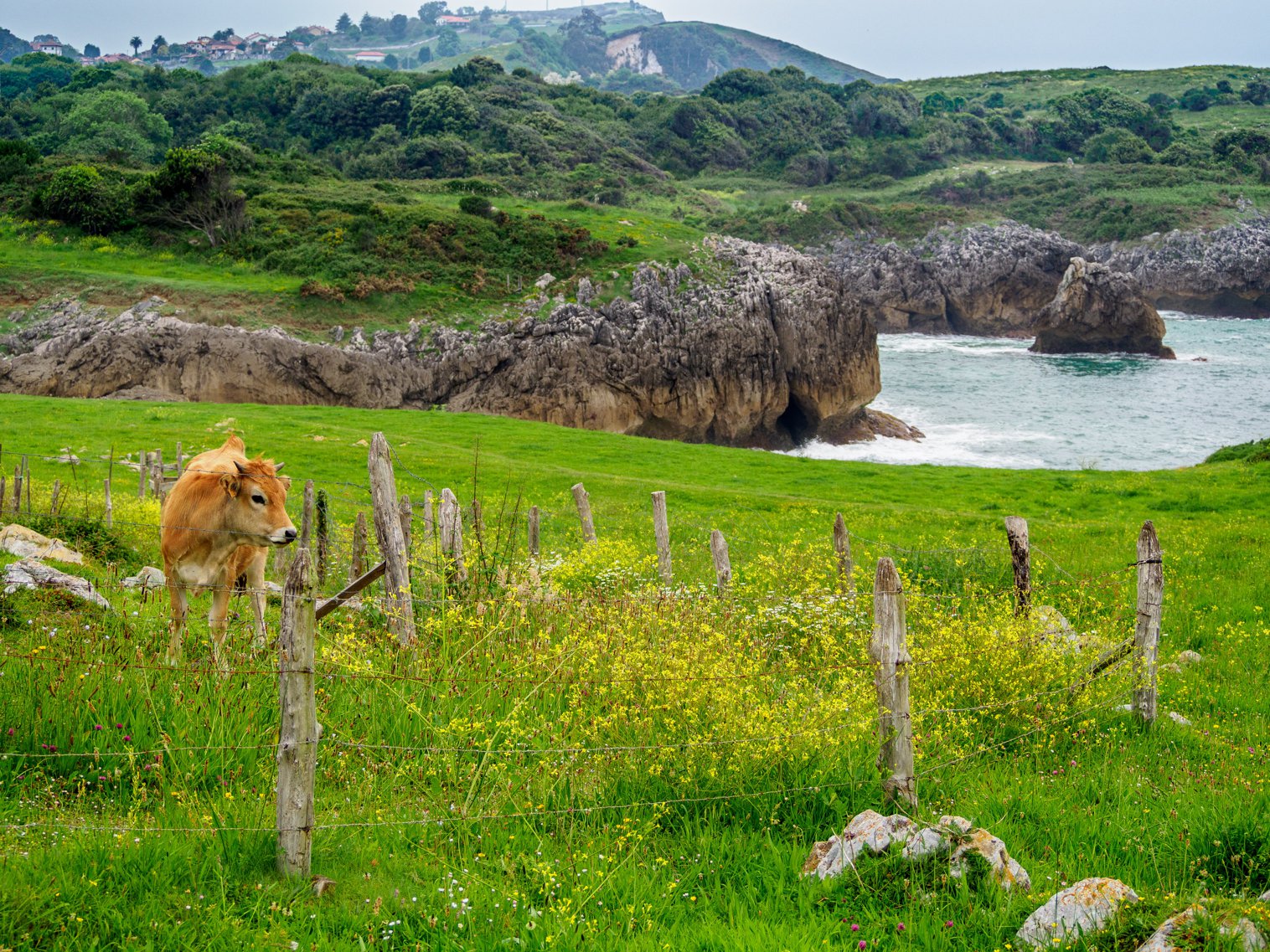 Green Spain The Northern Coast SpanishDictionary